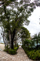 17mar26_Snyder_preWedding-1392