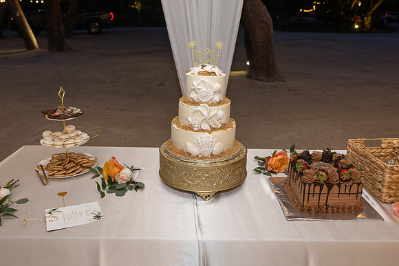 17mar26_Snyder_reception-3188